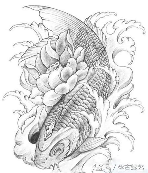 錦鯉魚畫|如何用鉛筆畫出錦鯉：魚類素描教學